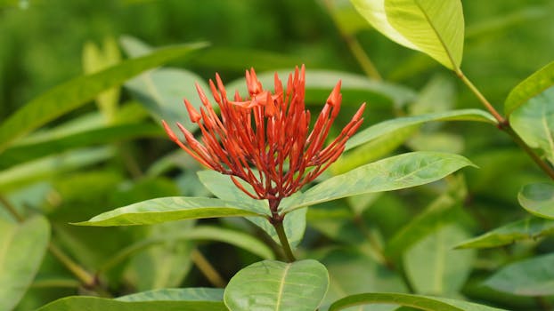 Photo by Sound Designer S.K Pramanik