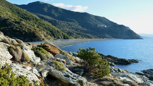Free Beautiful coastal landscape in Corsica, France showcasing a rocky shoreline with lush greenery and blue sea. Stock Photo