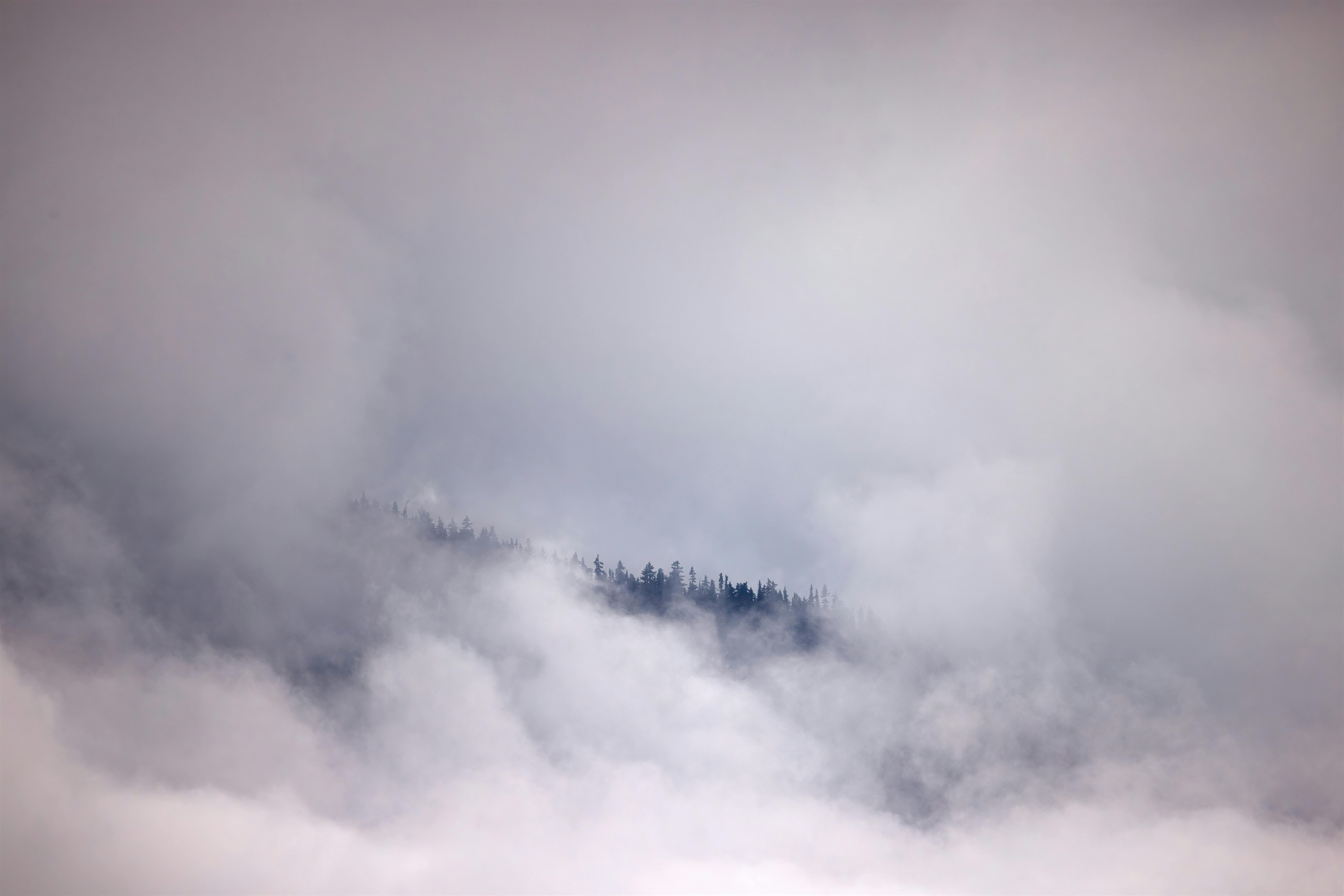 Free Ethereal view of mountain peaks partially obscured by dense fog and clouds. Stock Photo