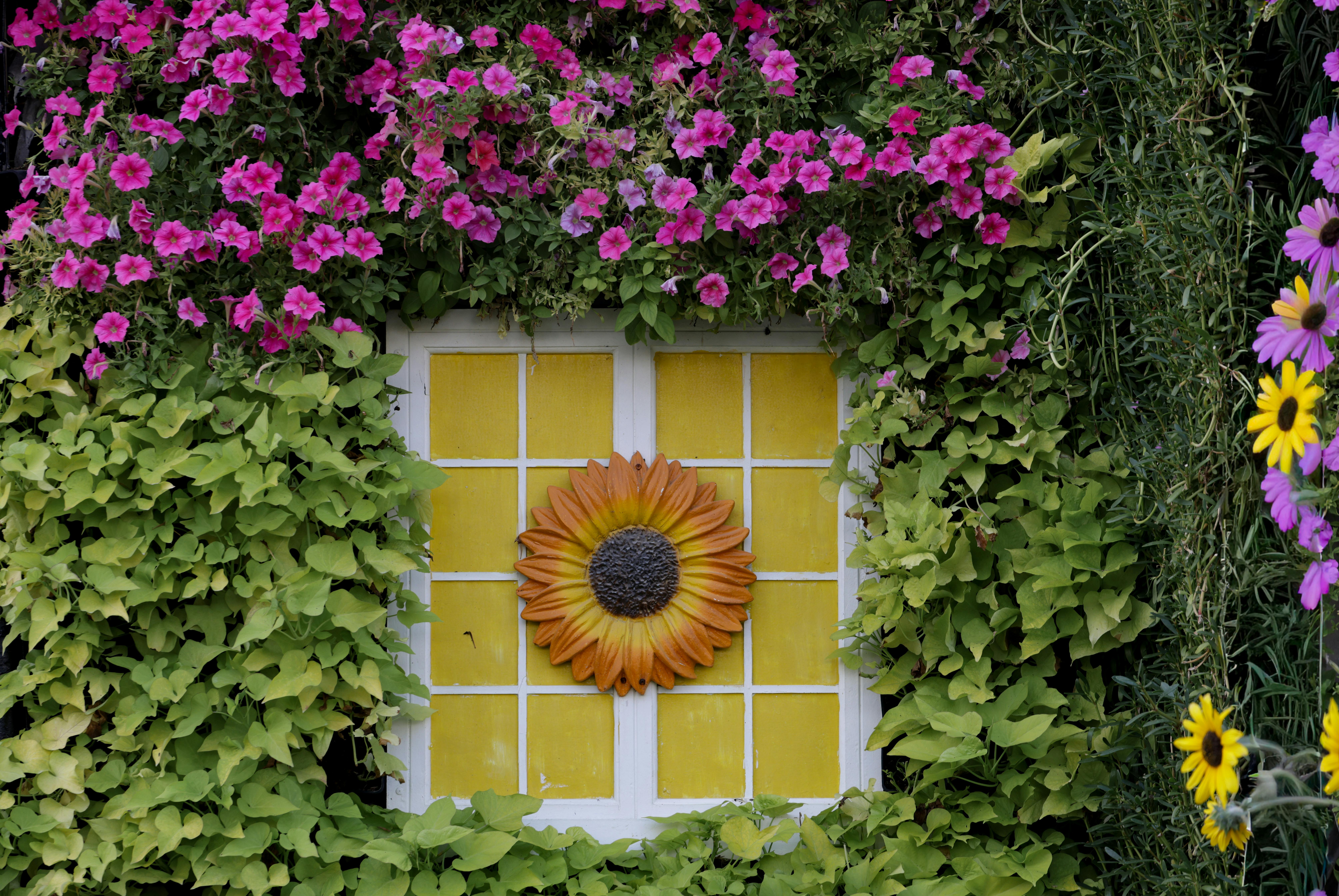 Colorful garden window framed by flowers and vines with a sunflower design centerpiece.