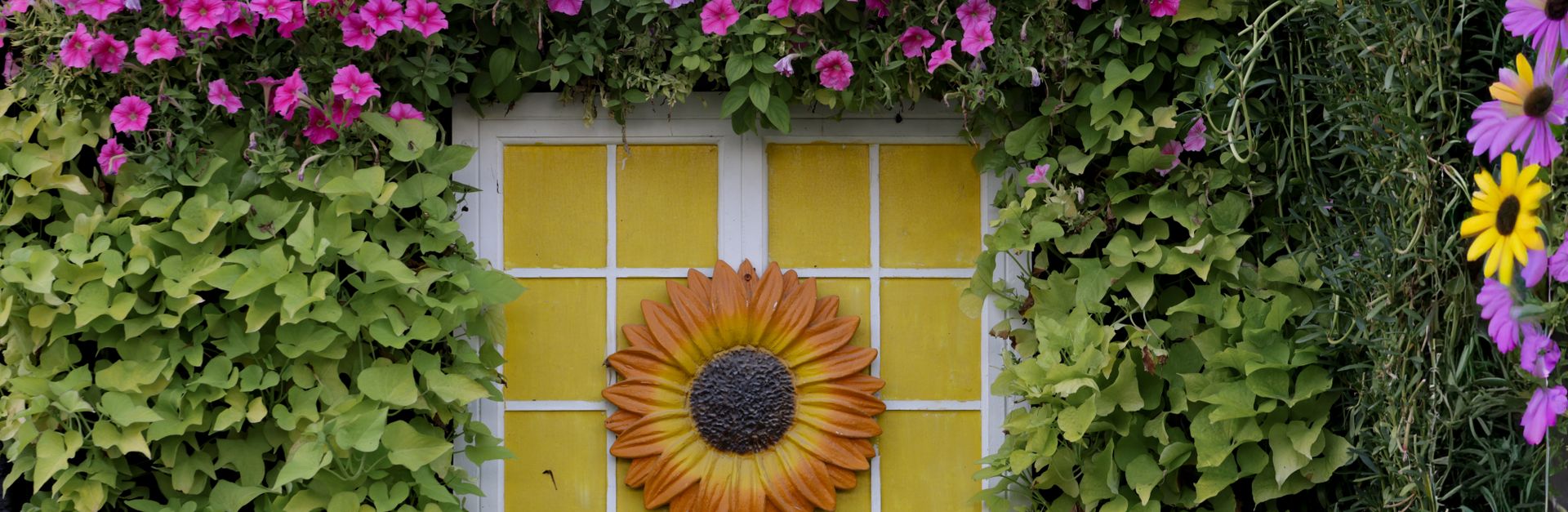 Colorful garden window framed by flowers and vines with a sunflower design centerpiece.