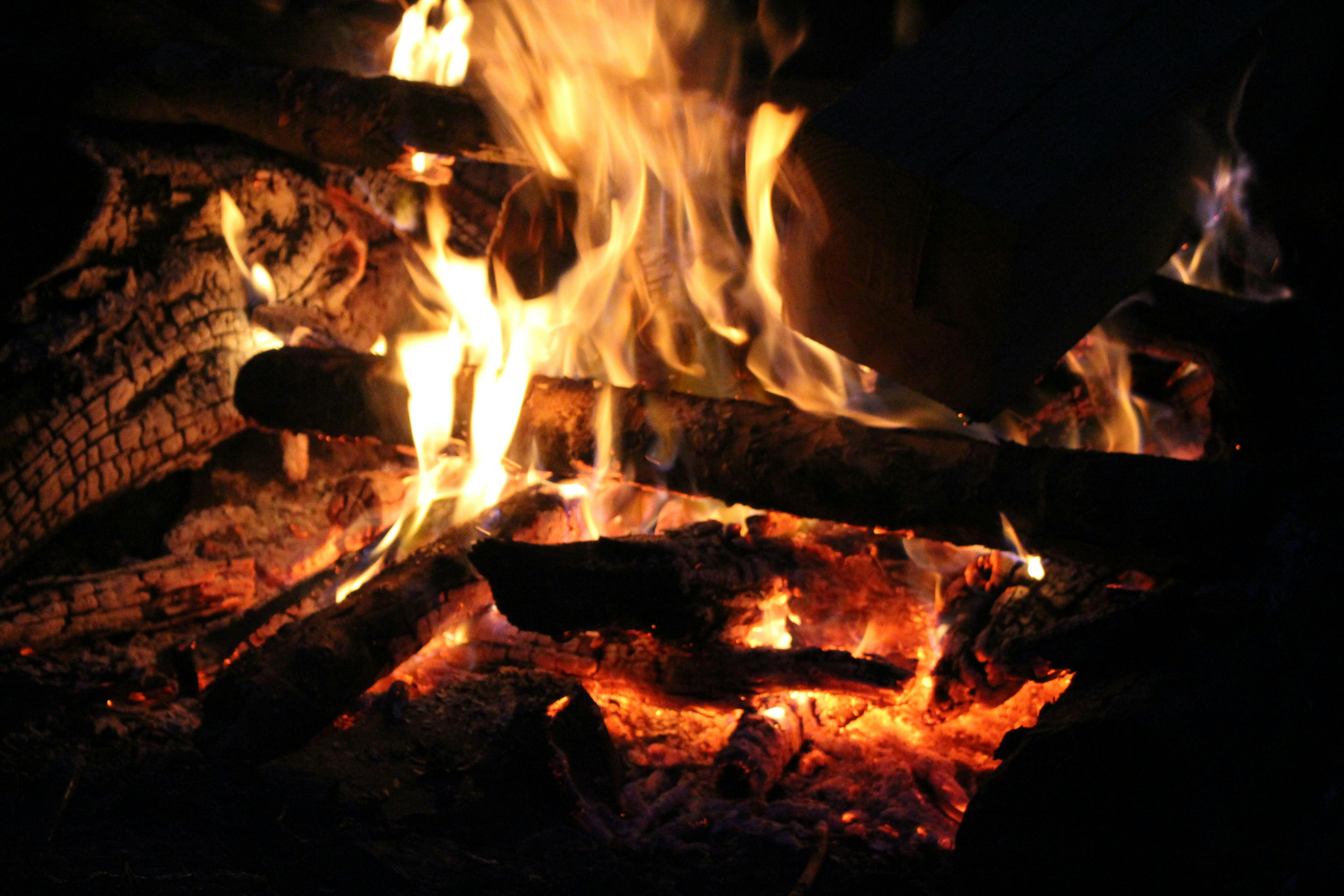 Free stock photo of campfire, close up, embers