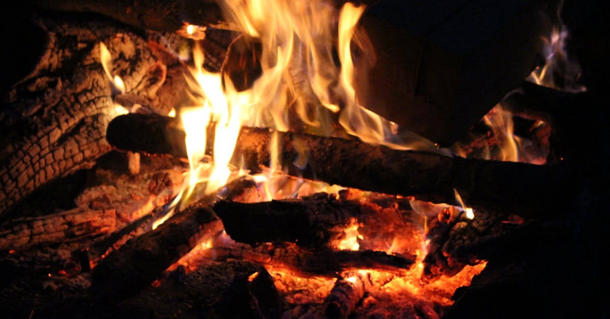 Free stock photo of campfire, close up, embers