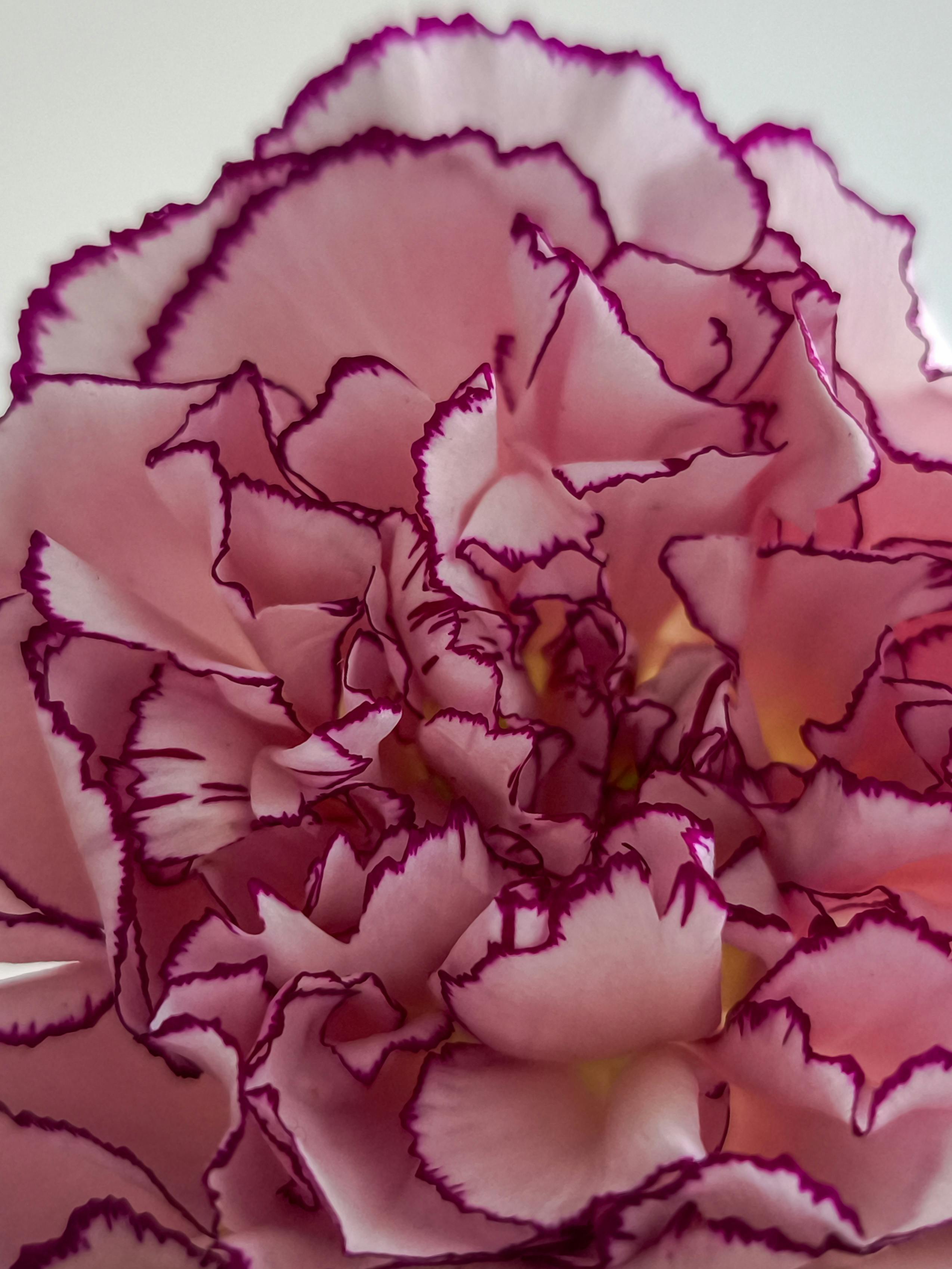 1.000.000+ Beautiful+wedding+aznude Bilder und Fotos · Kostenlos ...