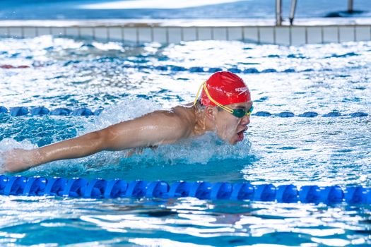An athlete executing the butterfly stroke in an indoor swimming pool, showcasing competitive swimming skills.
