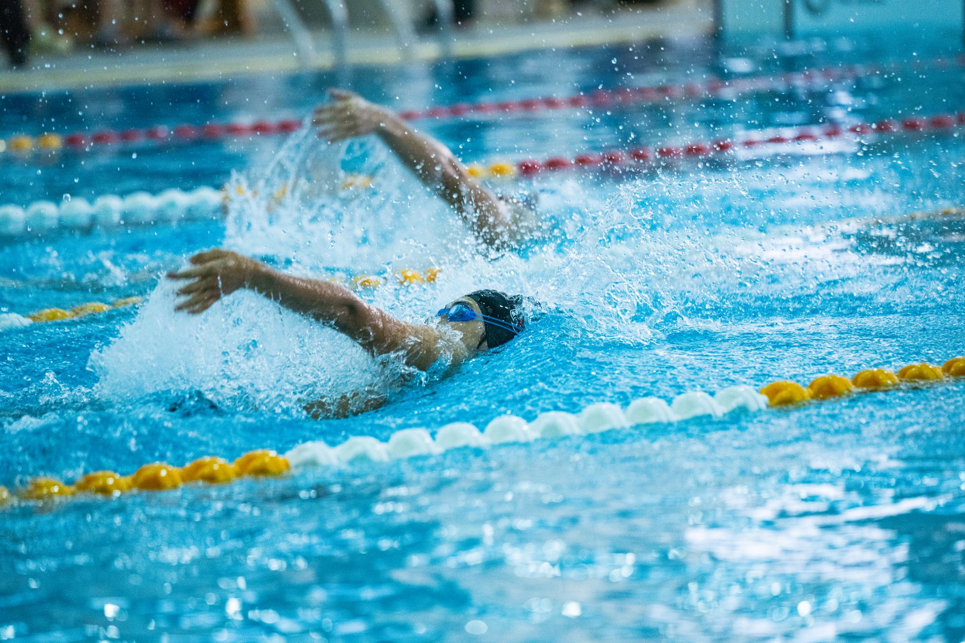 Dynamic shot of swimmers racing in a competitive swimming pool, emphasizing speed and skill.