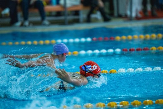Two swimmers in an intense butterfly stroke competition in a swimming pool, showcasing athletic endurance.