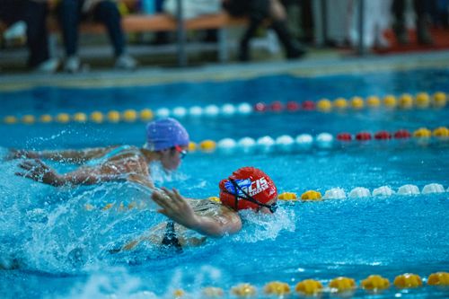 Free Two swimmers in an intense butterfly stroke competition in a swimming pool, showcasing athletic endurance. Stock Photo