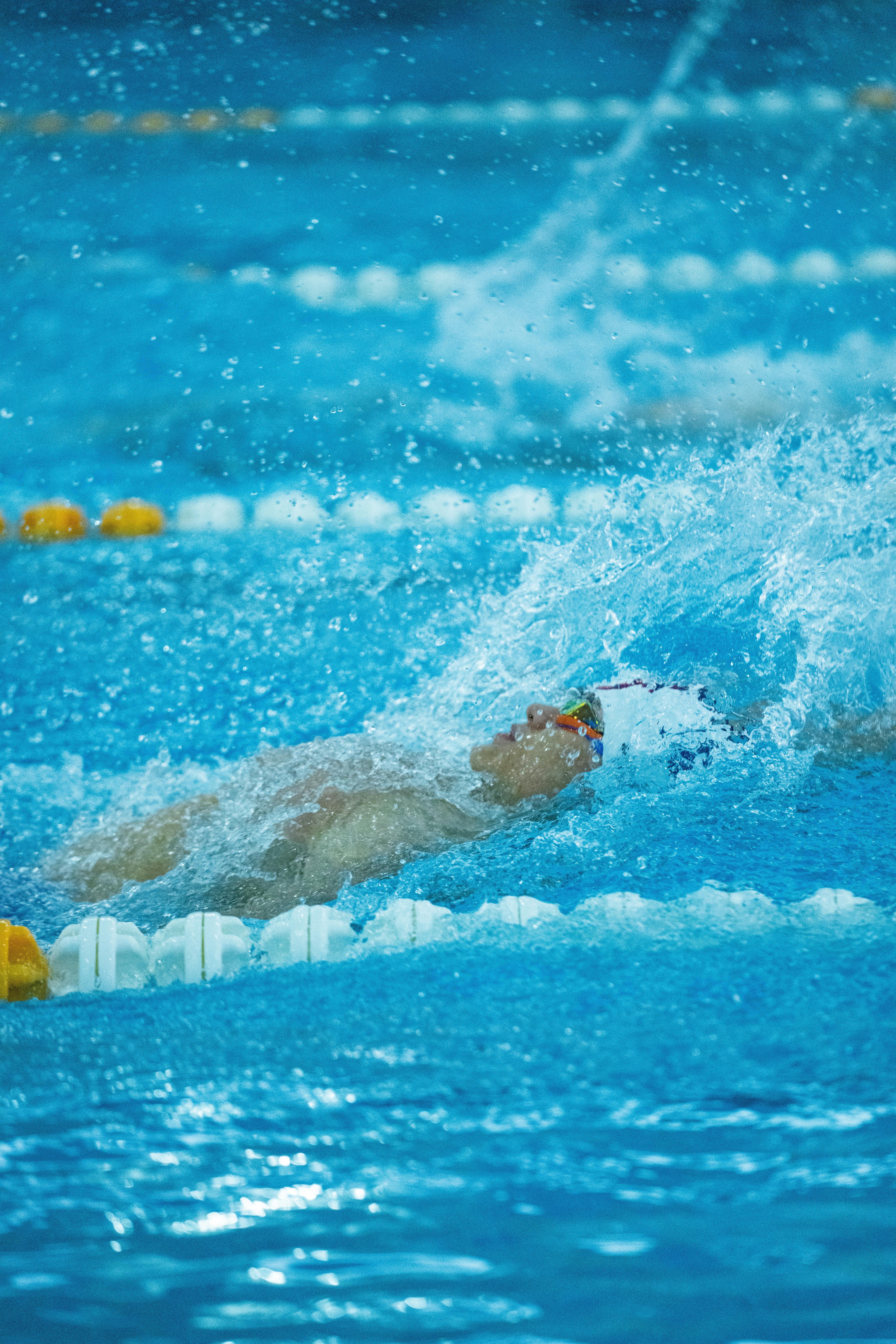 Free stock photo of competitive swimming