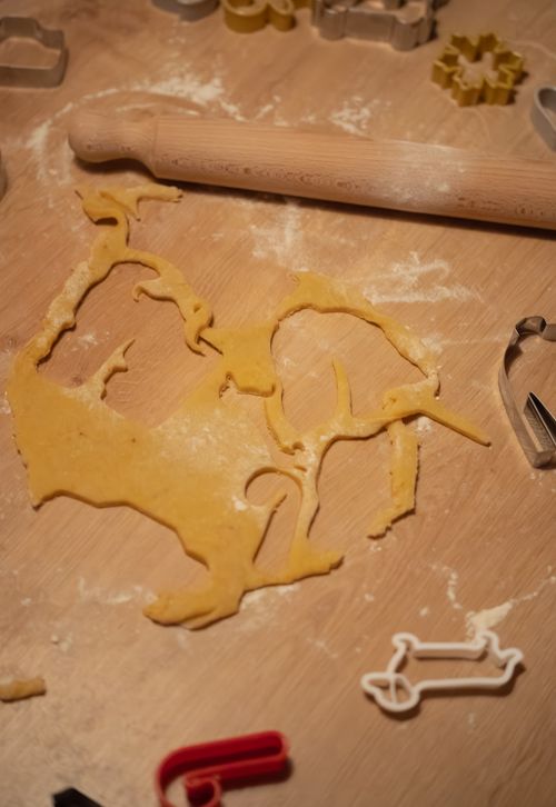 Foto adonan dan cetakan kue untuk camilan anjing handmade