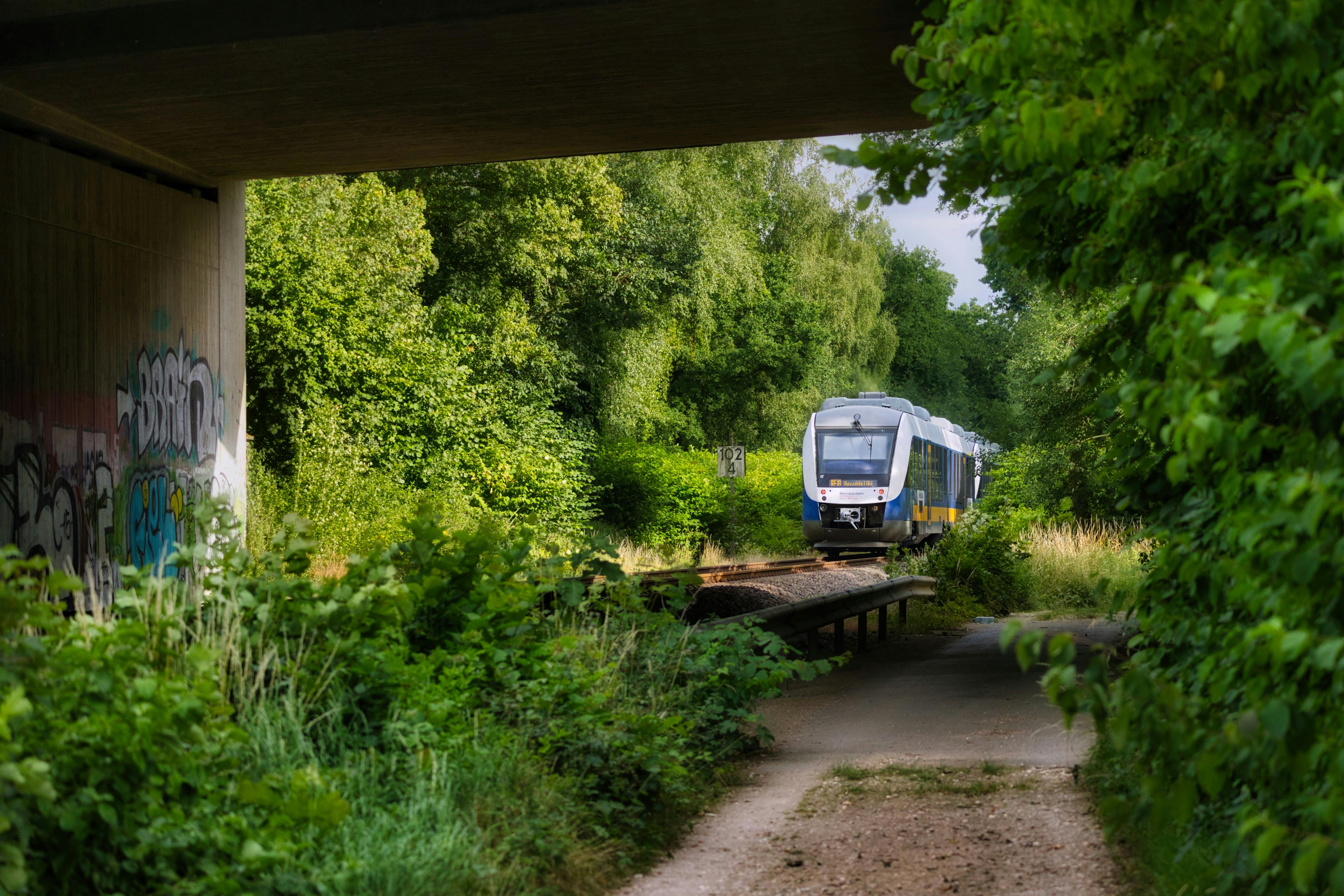 A train travels through a lush green railway underpass surrounded by trees.