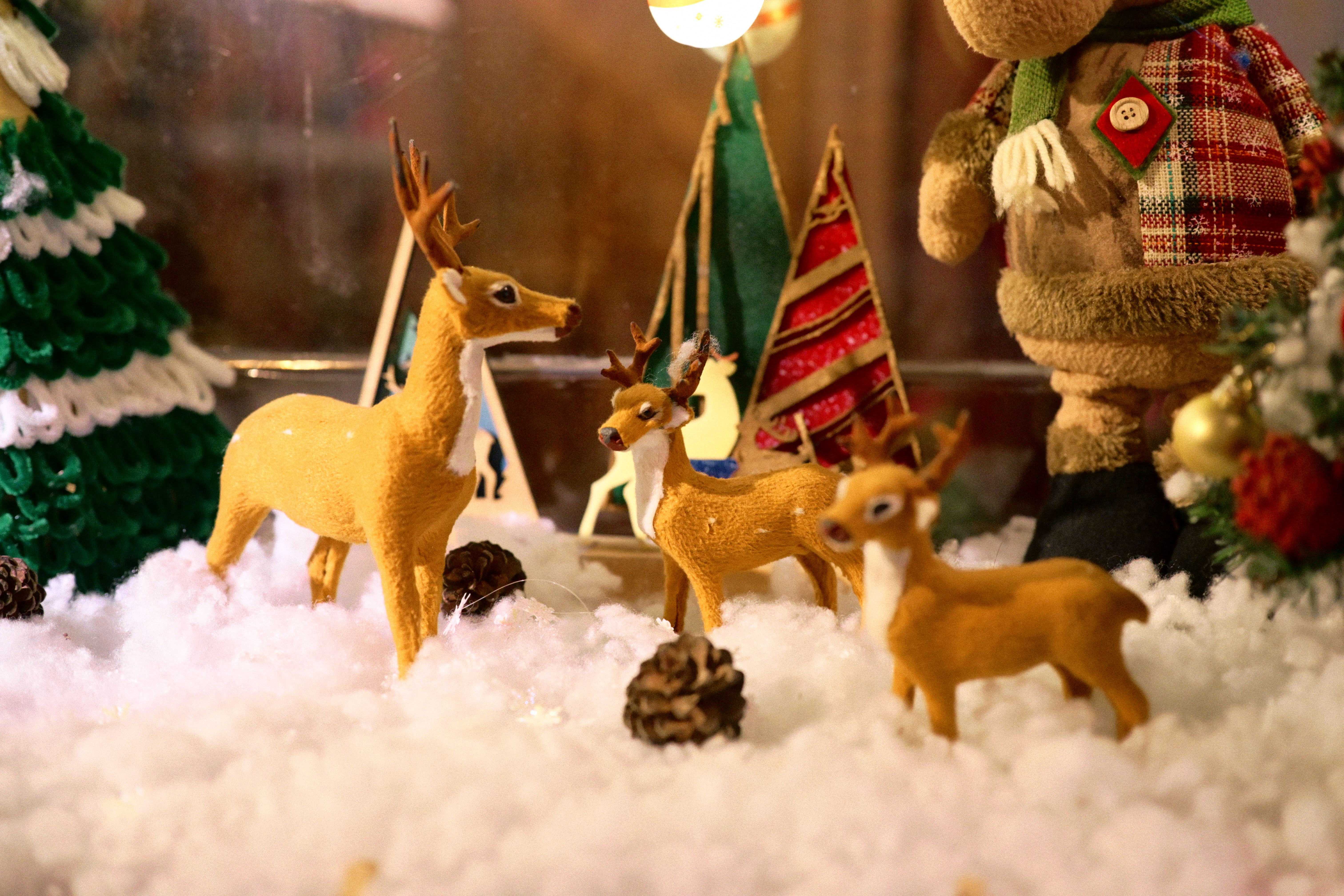 Christmas arrives at the White House. See photos, video of decor. — Photo by 🇻🇳🇻🇳 Việt Anh Nguyễn 🇻🇳🇻🇳 on Pexels