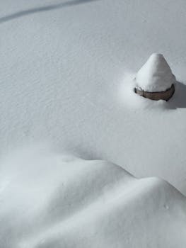A serene snow-covered landscape featuring intriguing snow shapes and textures.
