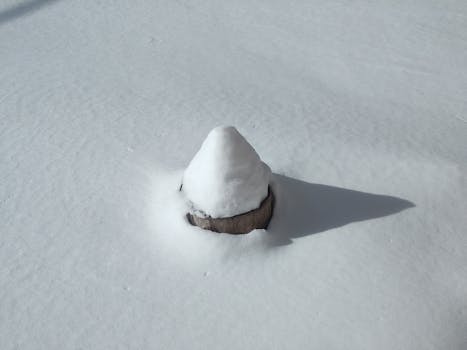 A solitary tree stump covered with snow creating a serene winter scene.