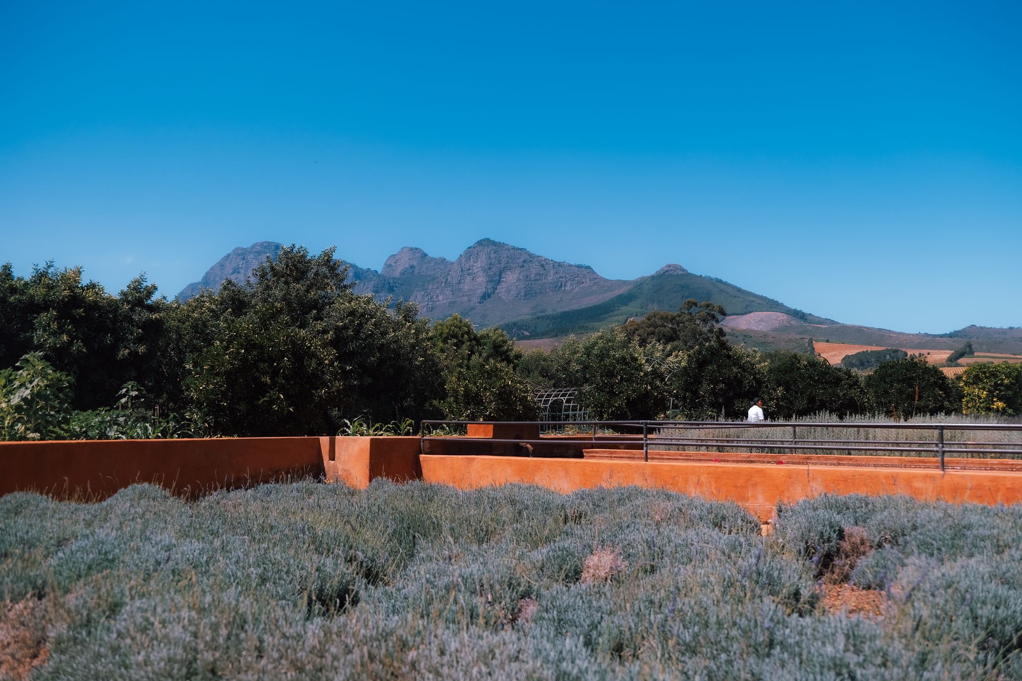 Franschhoek