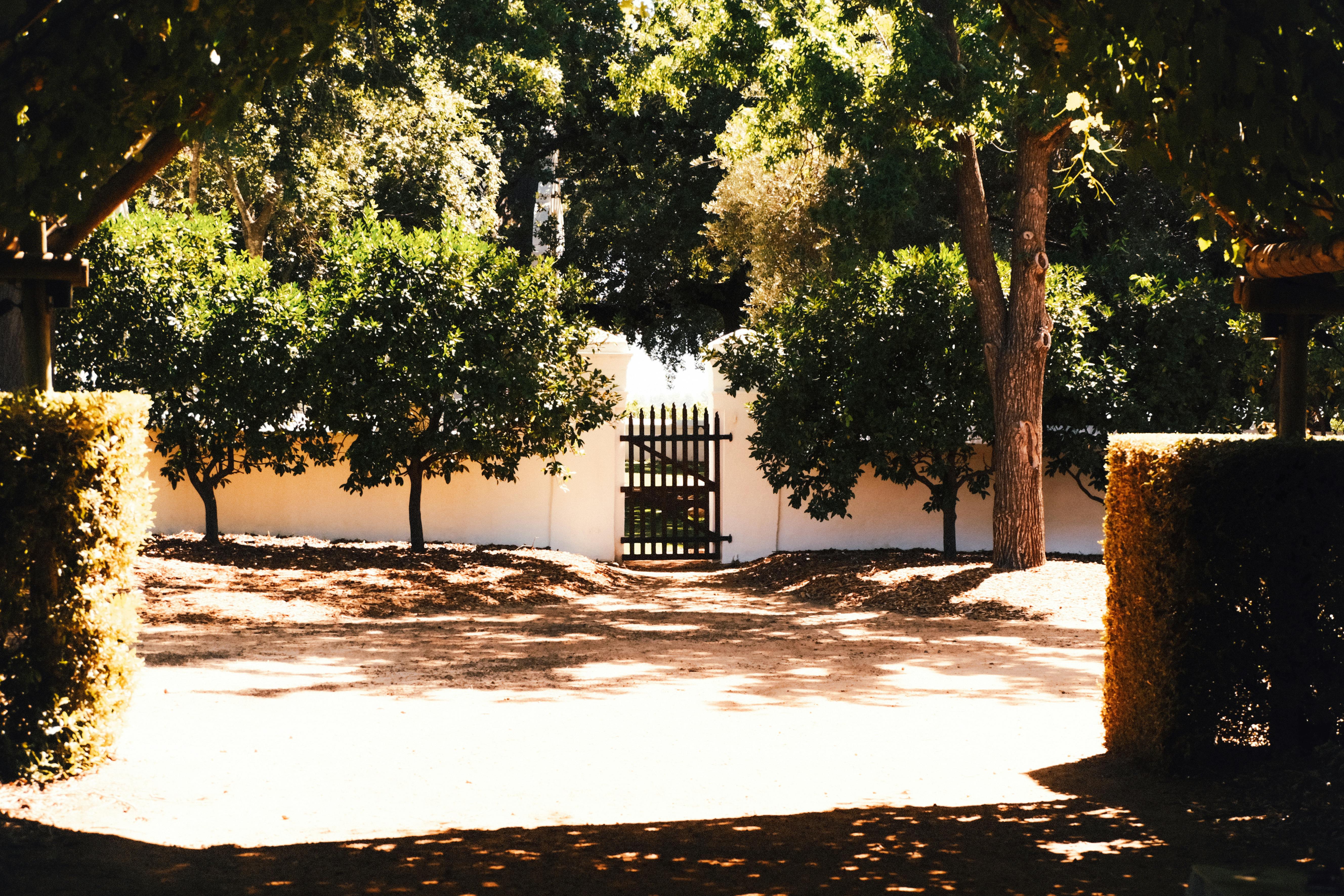 gratis Een zonnig tuinpad leidt naar een rustieke houten poort, omgeven door weelderig groen en bomen. Stockfoto