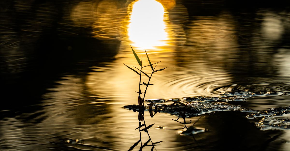 Sunlight Line Reflection Serene Reflection of Sunlight on Water · Free Stock Photo