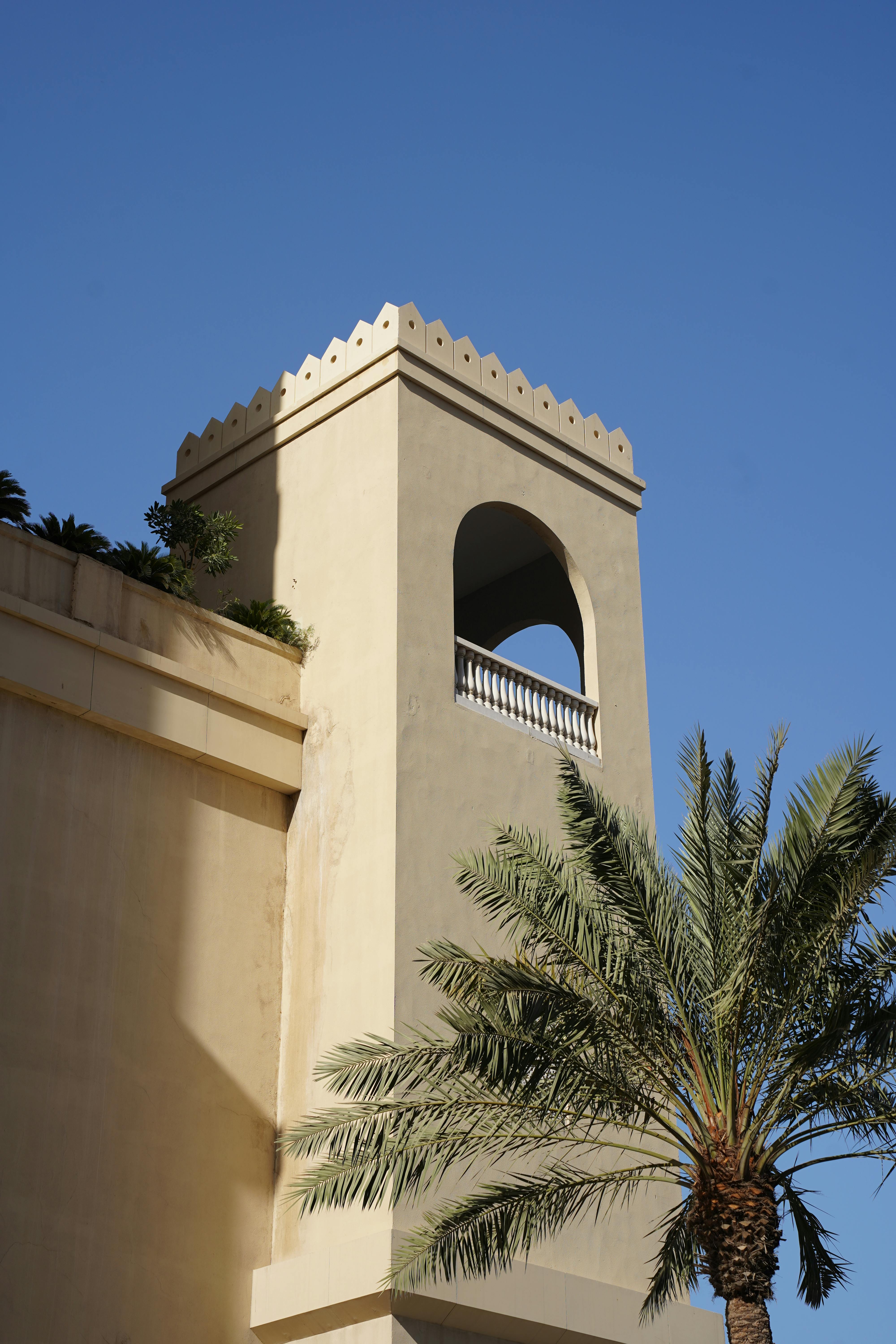 Gratis Una splendida torre in stile mediorientale con palme sotto un cielo azzurro e terso. Foto a disposizione