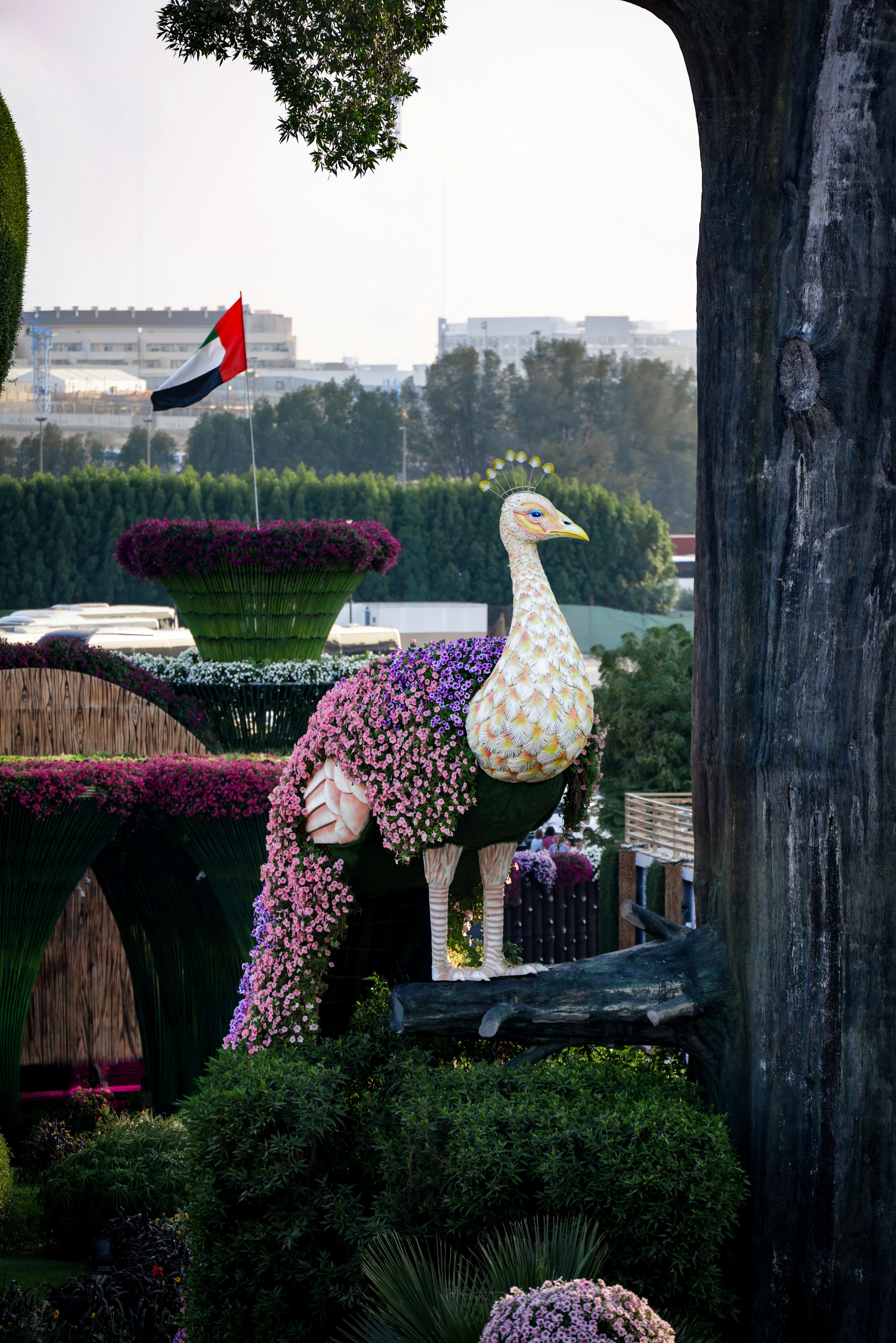 Dubai Miracle Garden Best Time