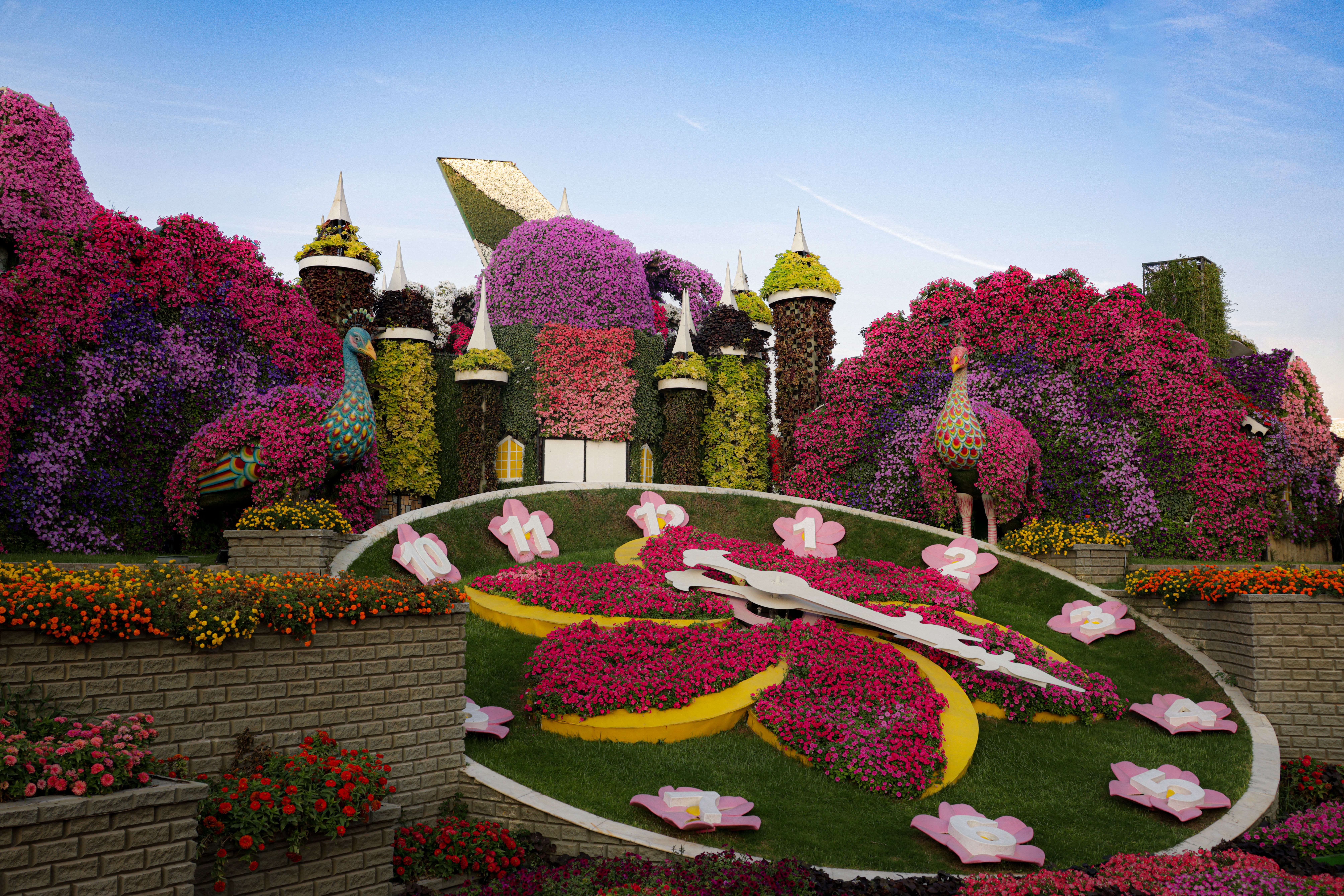 A vibrant floral clock surrounded by a lush, colorful garden featuring peacocks and imaginative land