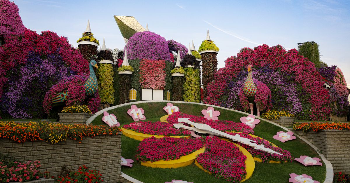A vibrant floral clock surrounded by a lush, colorful garden featuring peacocks and imaginative land