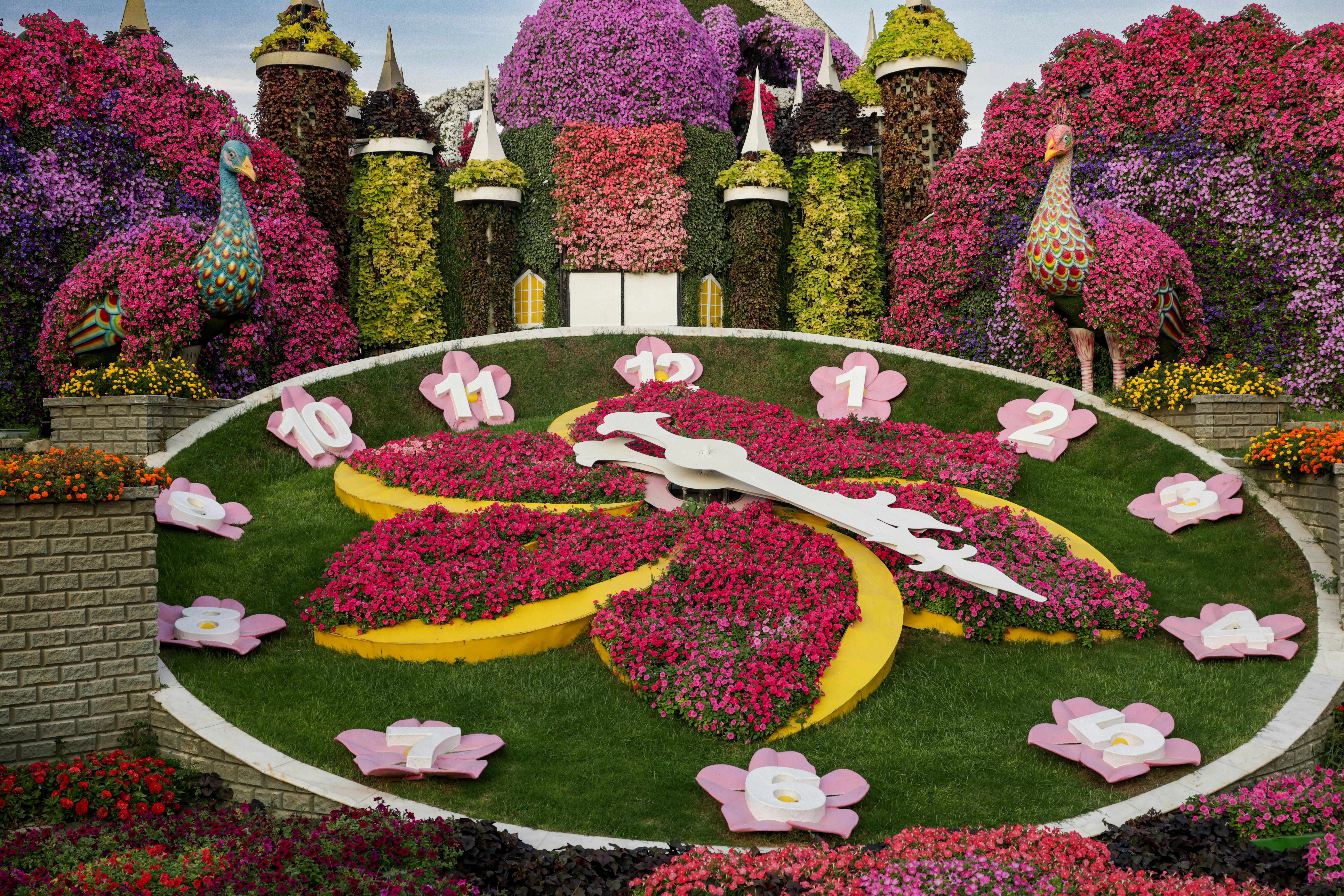 Free stock photo of blooms, clock, colourful garden