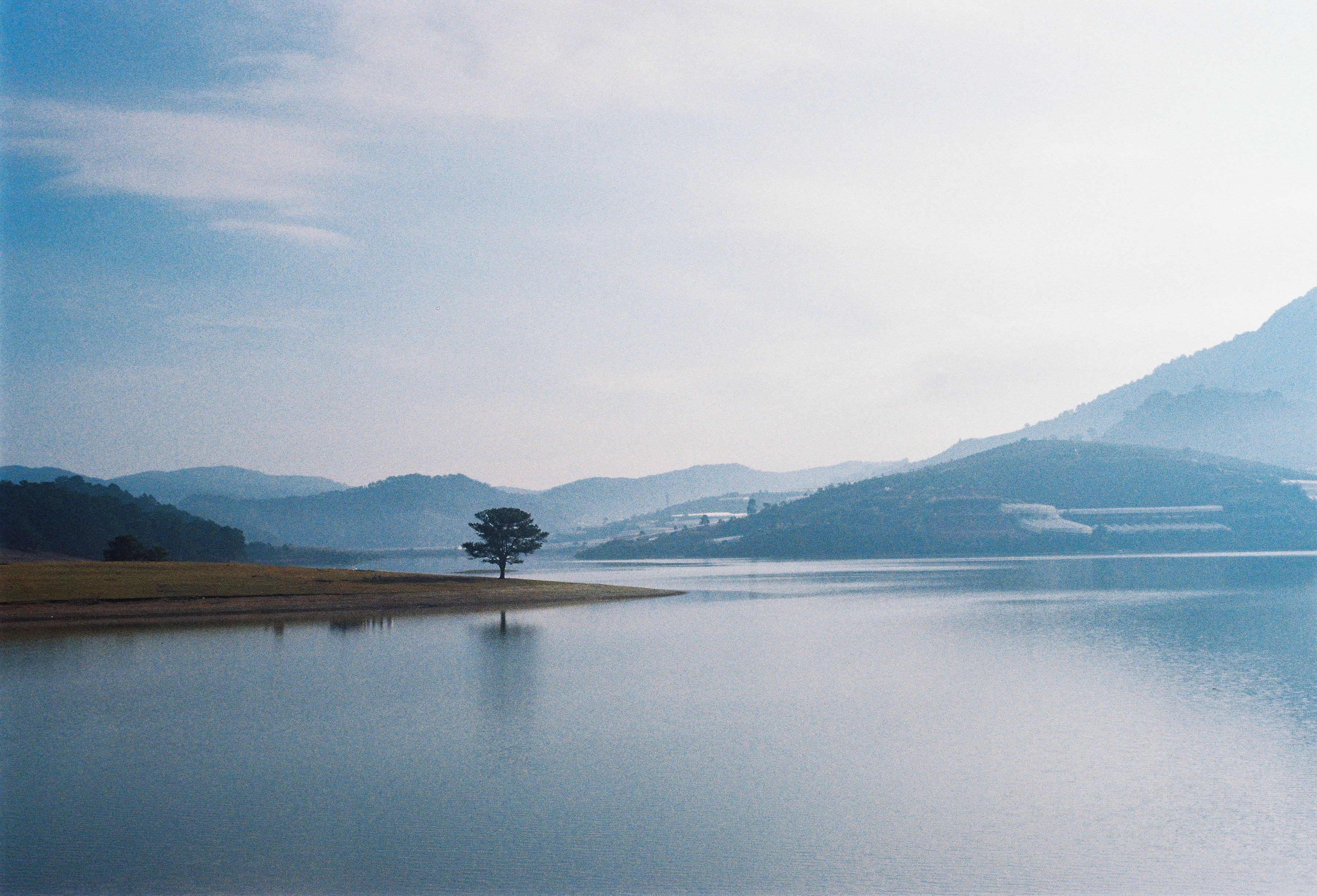 Serene Lake Landscape with Solitary Tree · Free Stock Photo