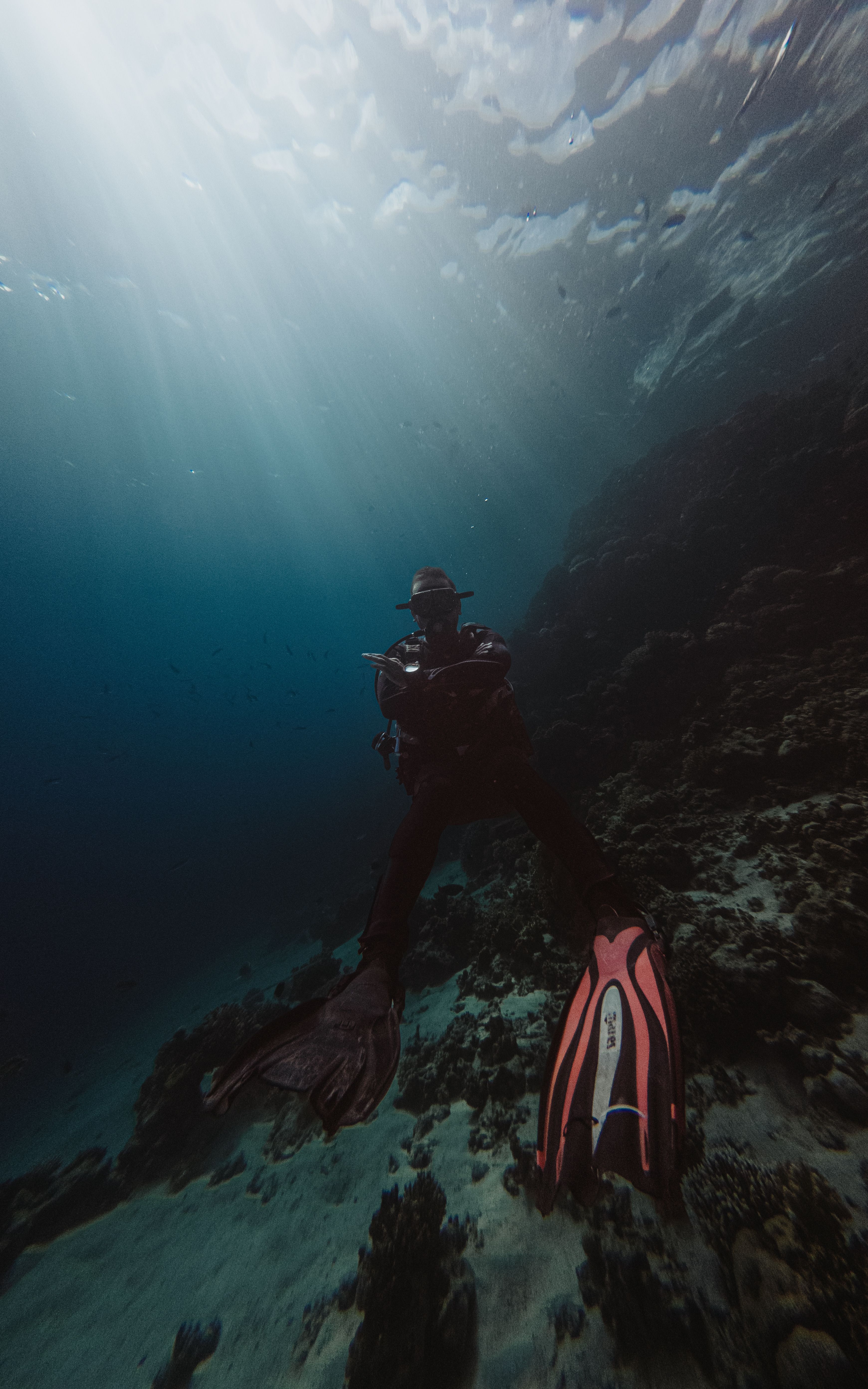 Ocean Action to Repeat Visits: AI Reception for Dive Centers