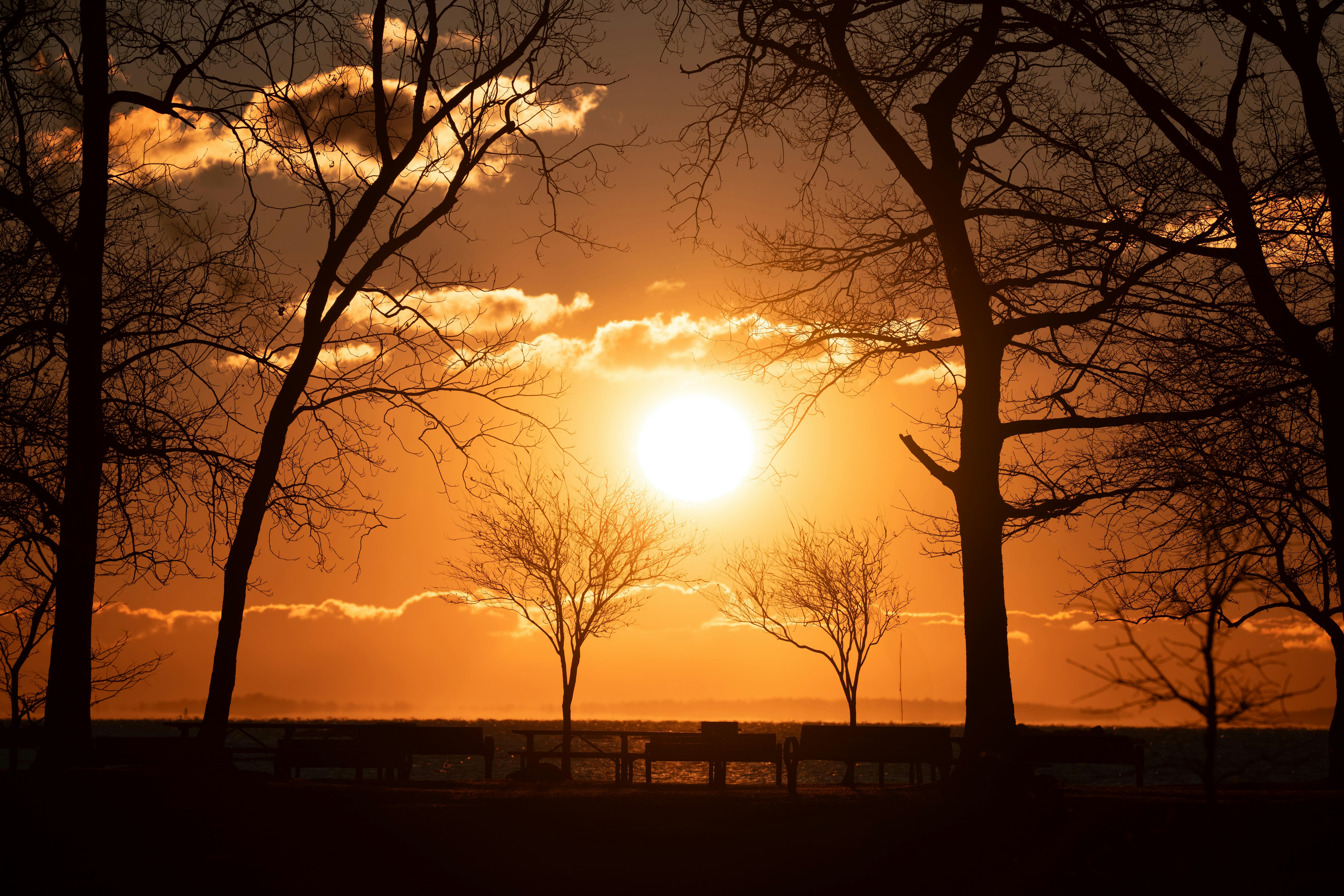 Beautiful sunrise at Cove Island Park in Stamford, Connecticut with silhouettes of trees.