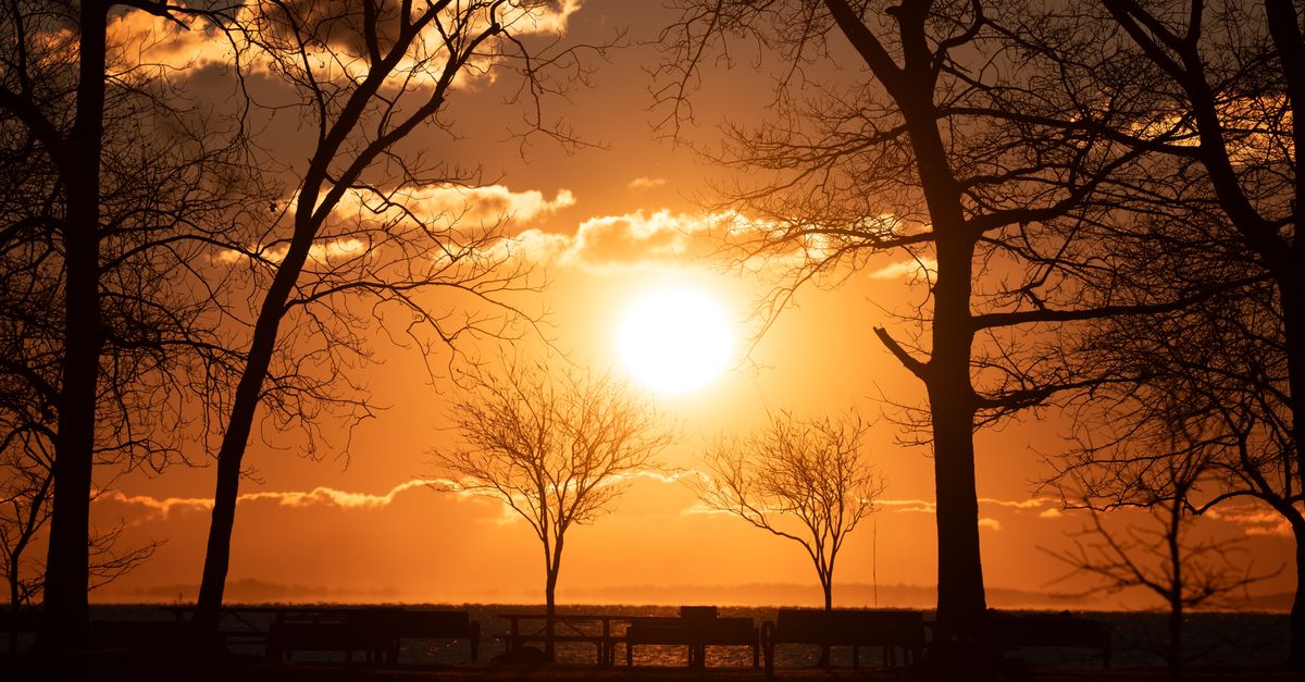 Beautiful sunrise at Cove Island Park in Stamford, Connecticut with silhouettes of trees.