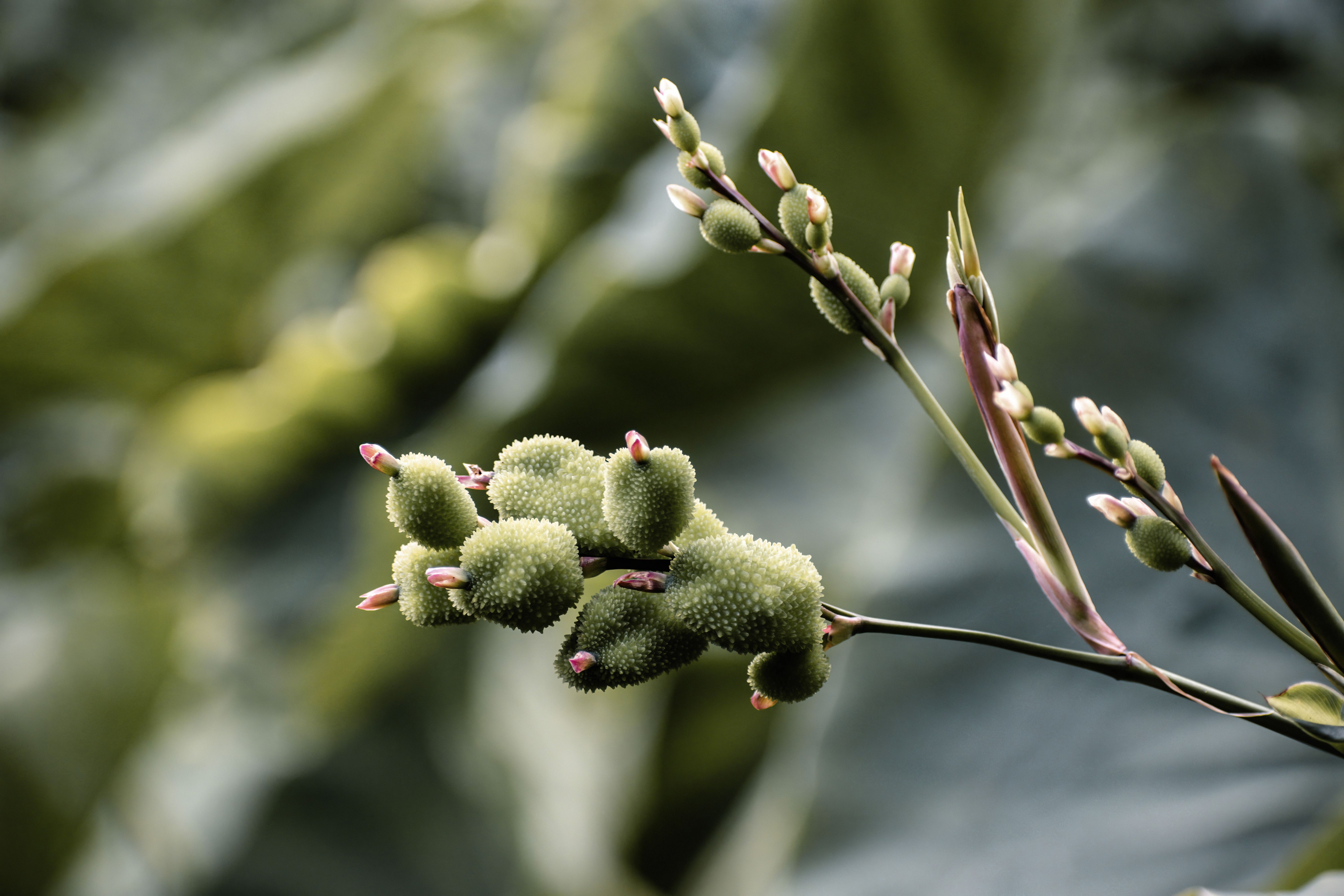 Rebalance leads pre seed round in travel gear brand NORI — Photo by Karolina on Pexels