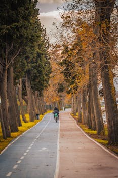 A cyclist rides along a picturesque pathway lined with autumn trees.