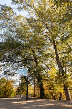 A peaceful outdoor basketball court in a sunlit park setting in Atlanta, Georgia, surrounded by trees.