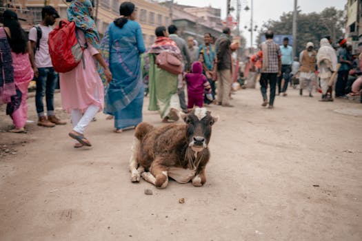 A bustling street in Varanasi with a cow sitting and people passing by, capturing the essence of vibrant street life.