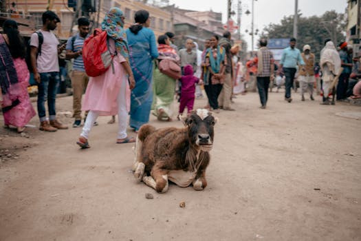 Busy Varanasi street scene with people and a cow in the foreground, capturing daily life.