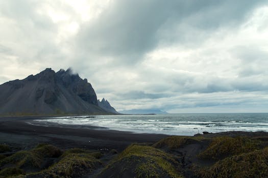 Photo by Michael Fischer