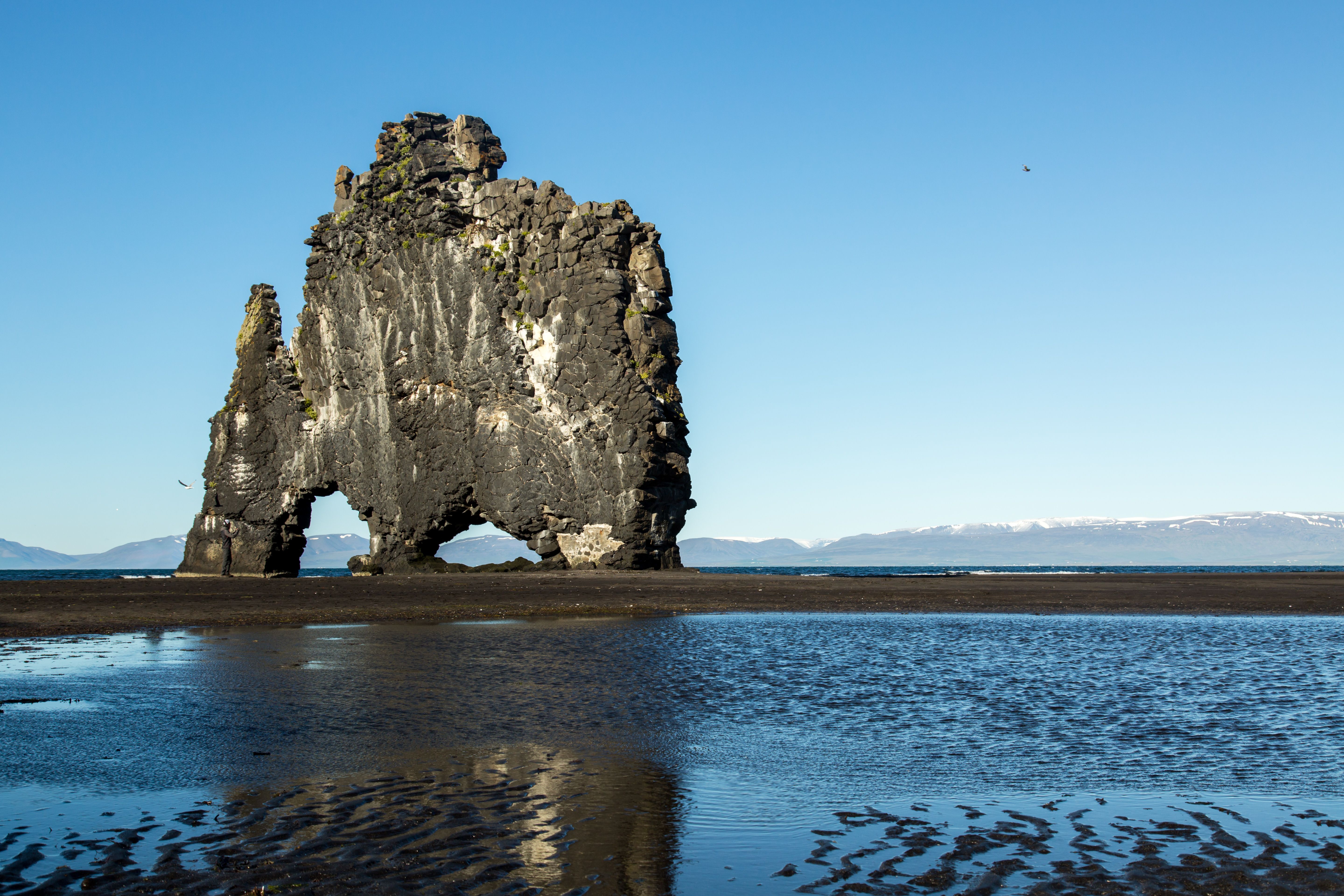 Best Tour Companies in Iceland — Photo by Michael Fischer on Pexels
