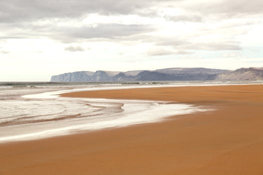 Photo by Michael Fischer