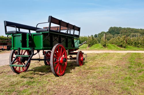 Free A traditional green wagon in an apple orchard under a clear blue sky, capturing rural charm. Stock Photo