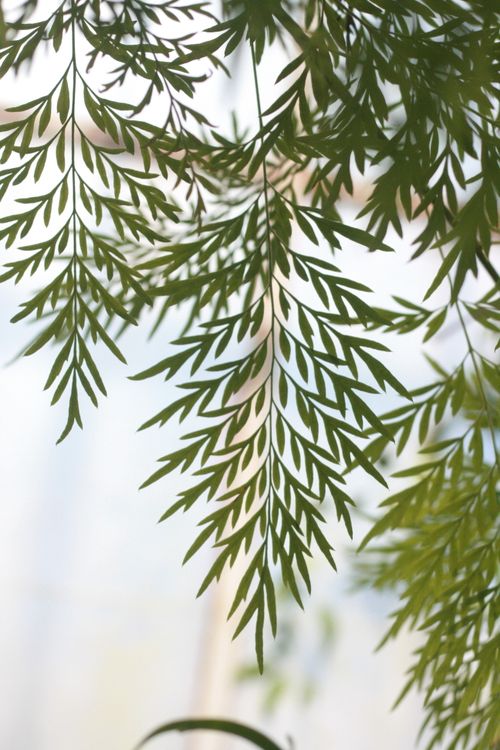 Free stock photo of cluj-napoca, detail, earth Stock Photo