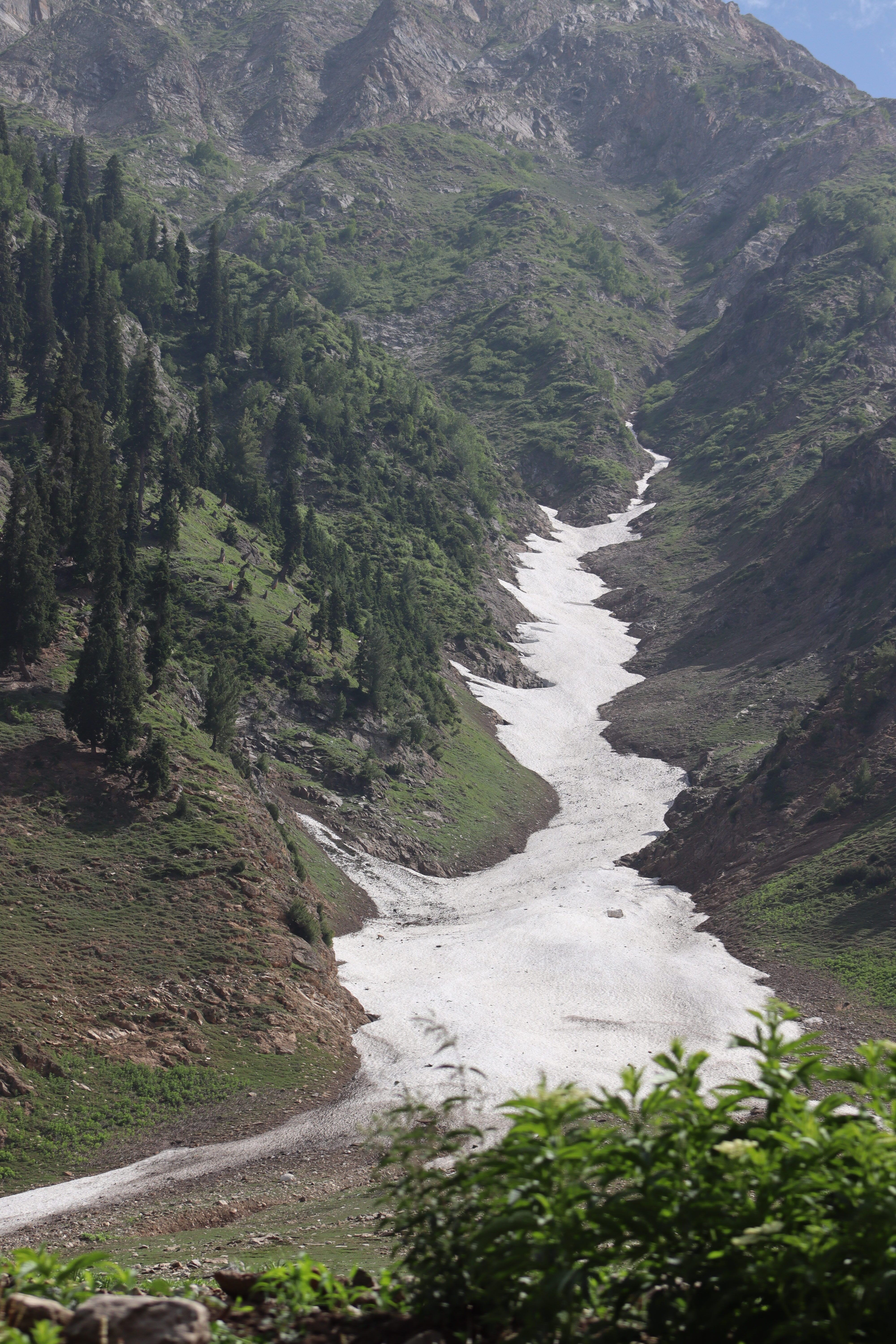 Breathtaking view of a snowy mountain valley path amidst lush greenery.
