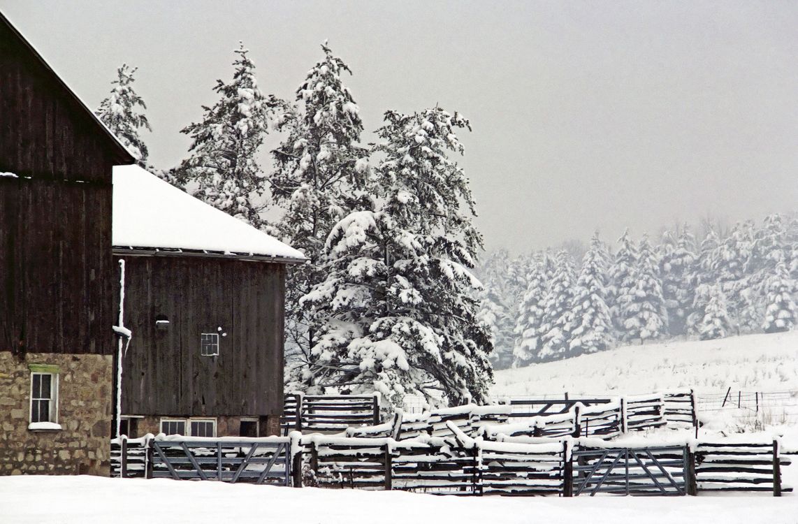 Rustic Farmhouse in Winter Wonderland · Free Stock Photo