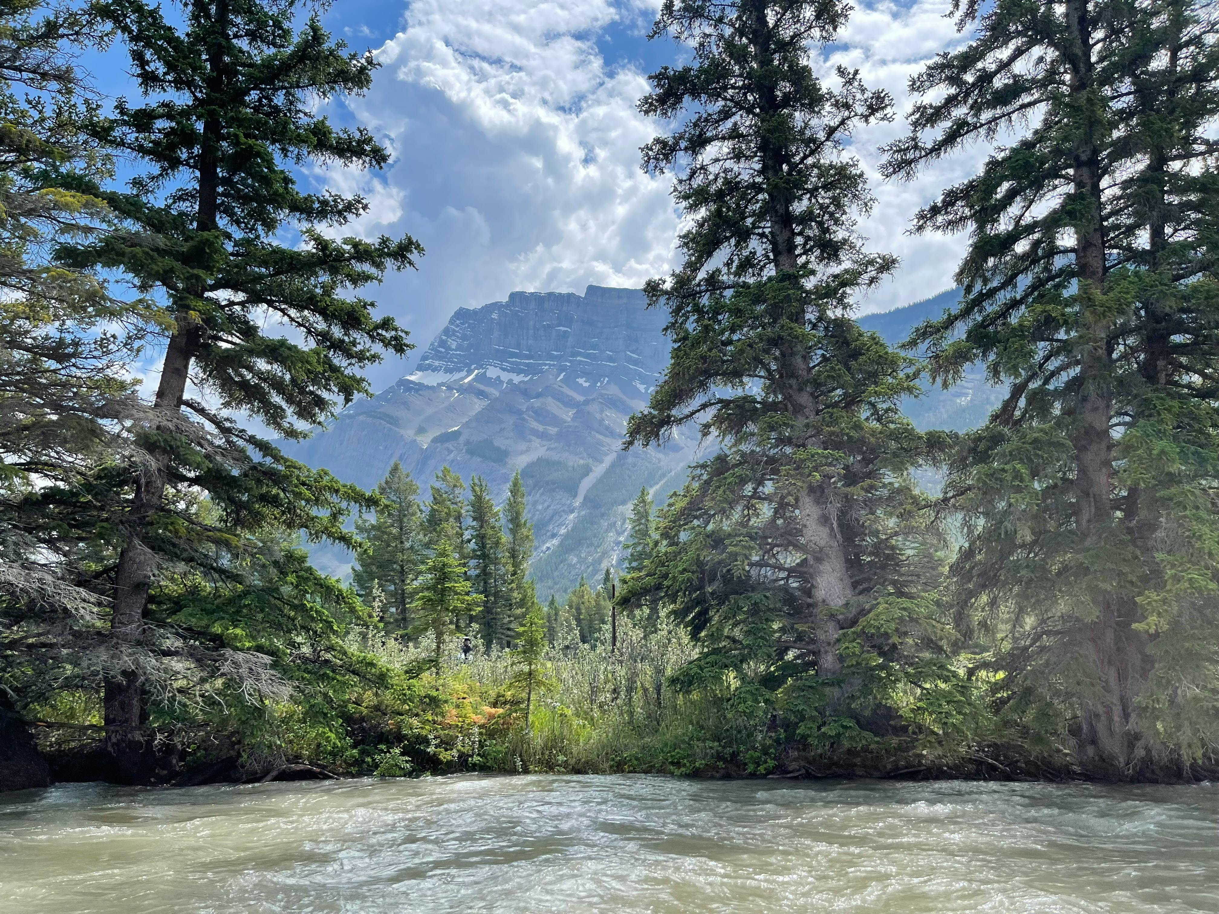 Breathtaking mountain scenery with lush pines by a flowing river under a cloudy sky.