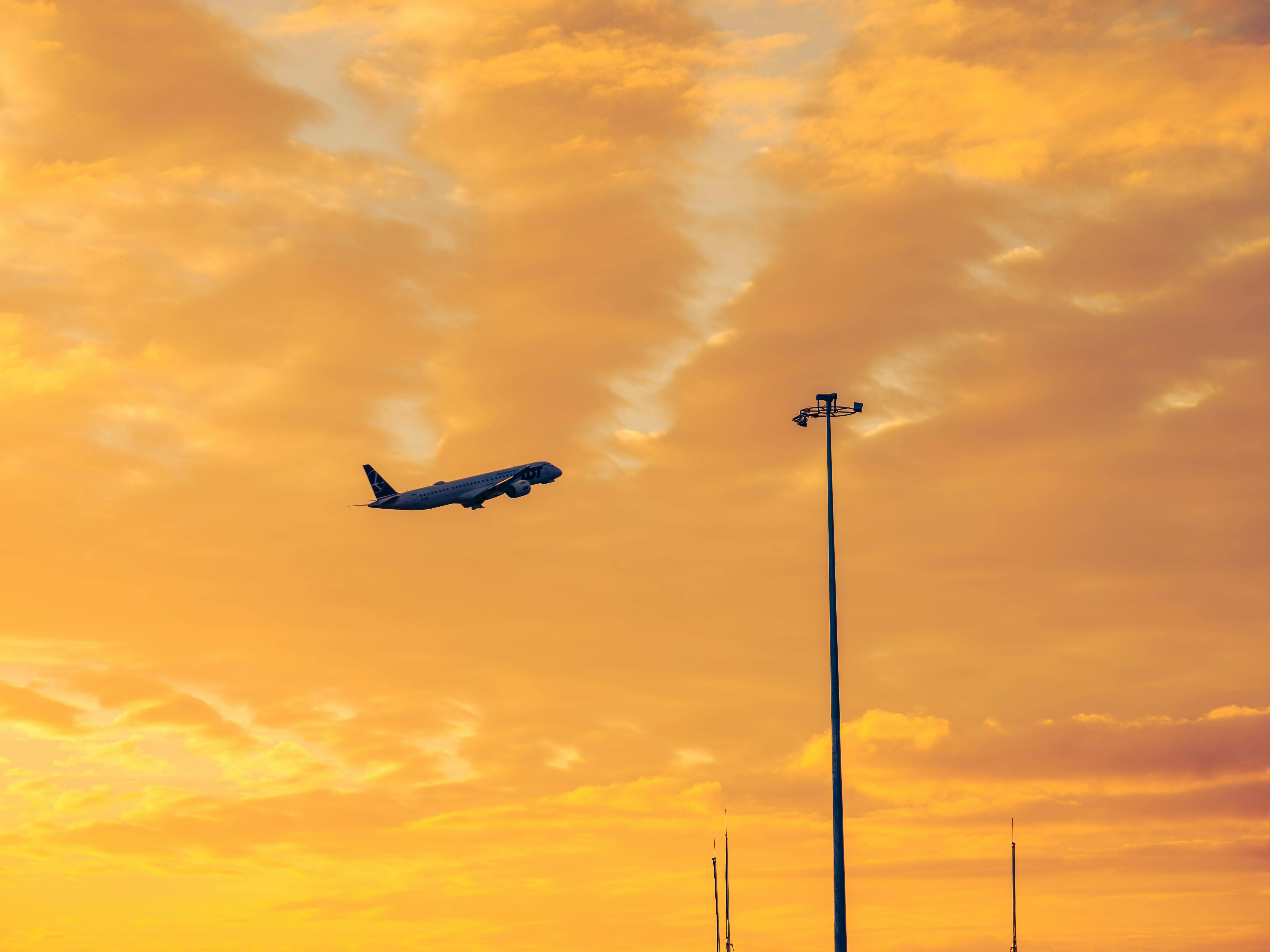 Considering Delta SkyMiles Gold AmEx? Look at General Travel Cards, Too — Photo by fotoinformator pl on Pexels