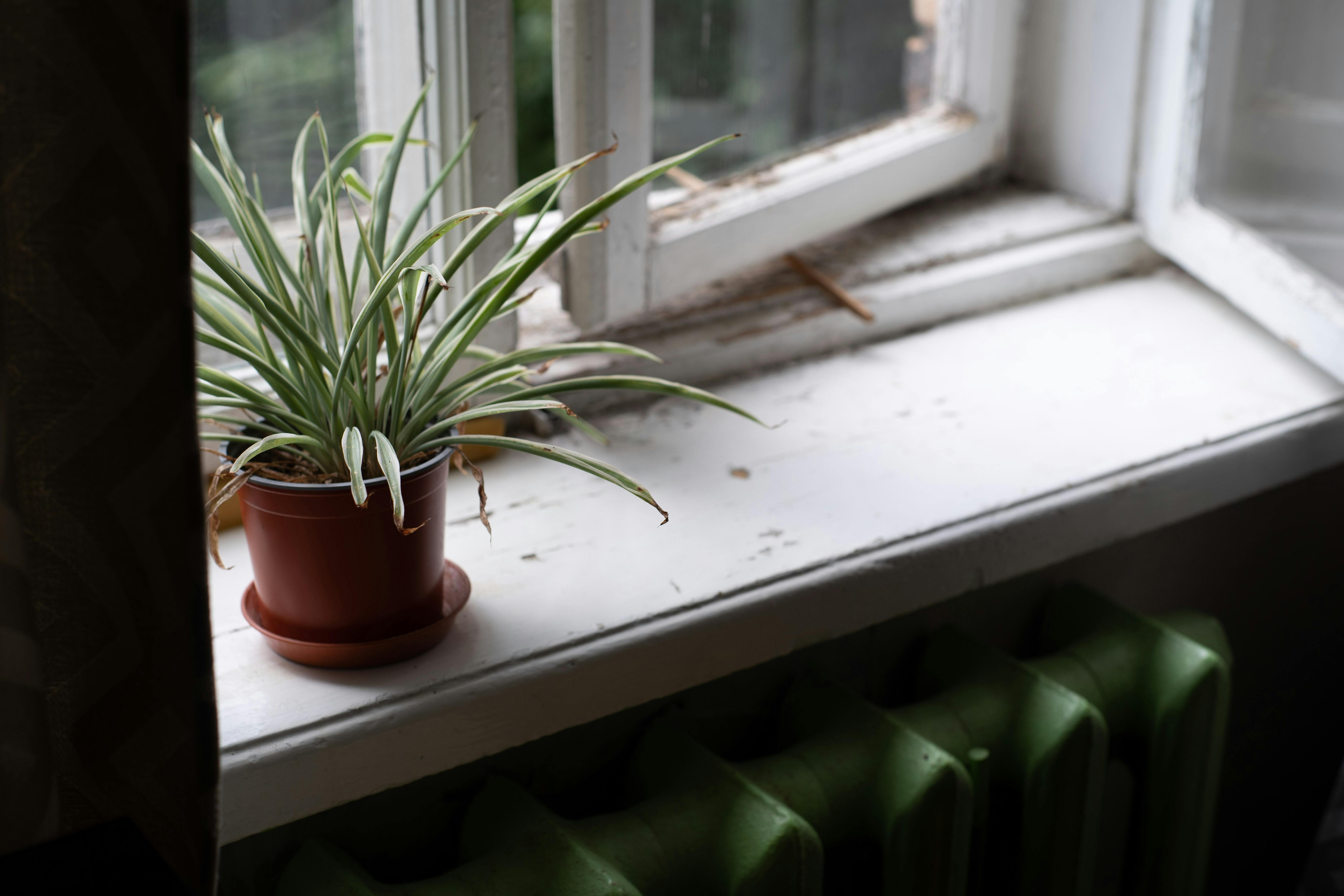 Urban Gardening Secrets for Small Spaces