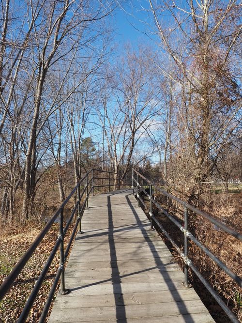 Free A peaceful wooden bridge flanked by leafless trees under a clear blue sky. Stock Photo