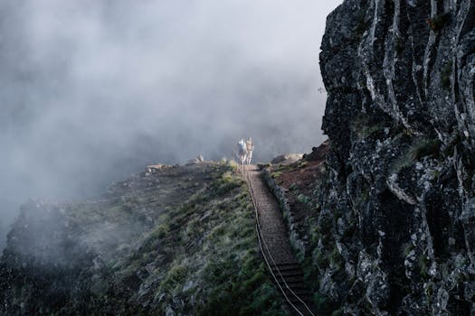 Mystical scene of hikers traversing a misty mountain trail in Madeira.