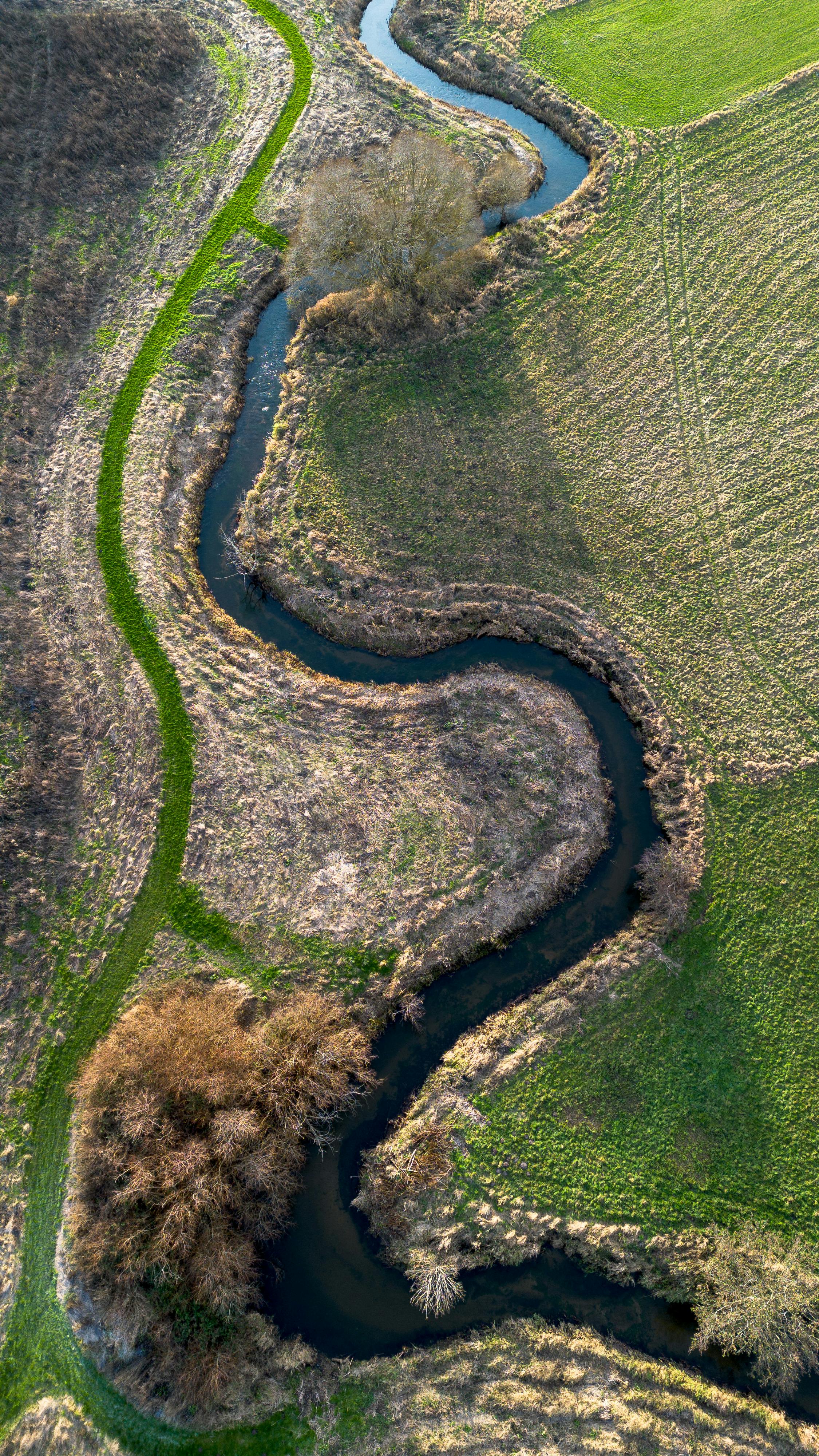 Aerial view capturing a winding stream through a colorful autumn landscape, showcasing natural beauty.
