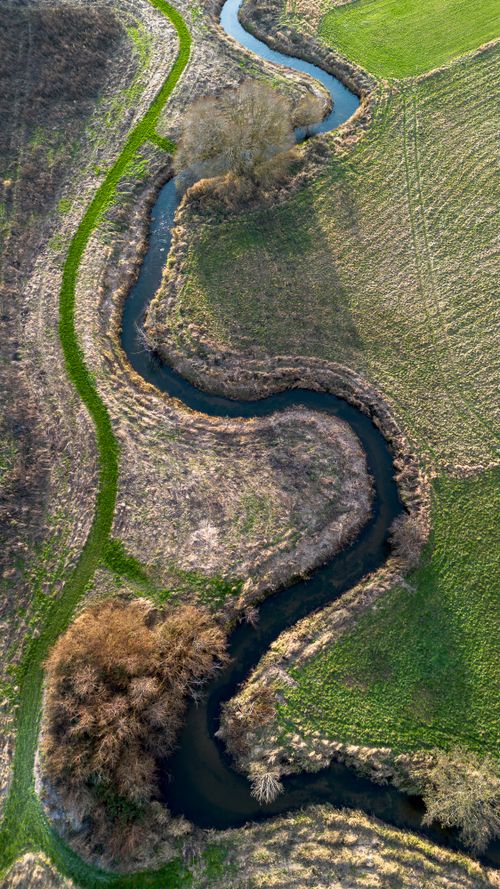 Free Aerial view capturing a winding stream through a colorful autumn landscape, showcasing natural beauty. Stock Photo