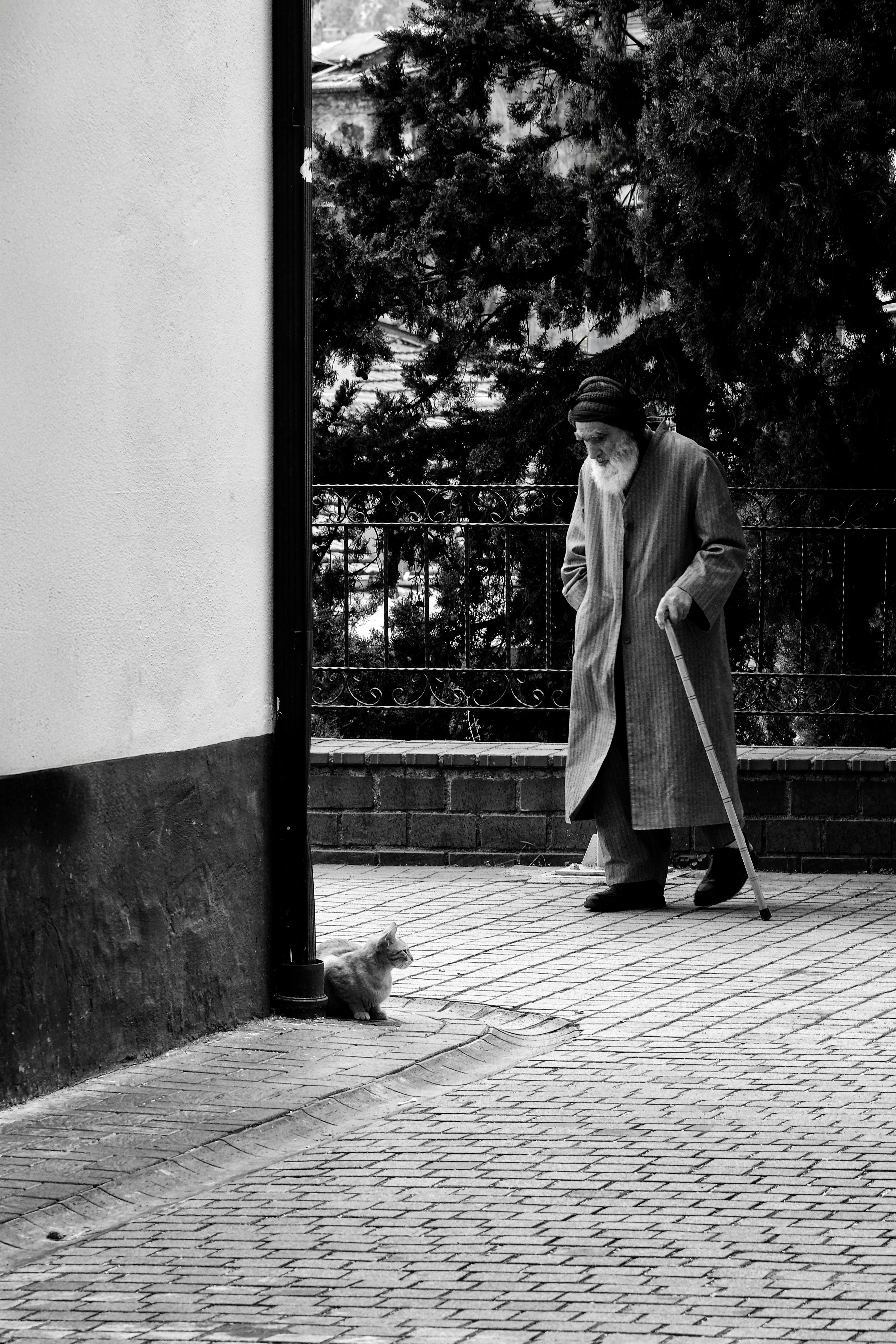 Black and white photo of a senior man with a cane interacting with a cat on a street in Bursa, Türkiye.